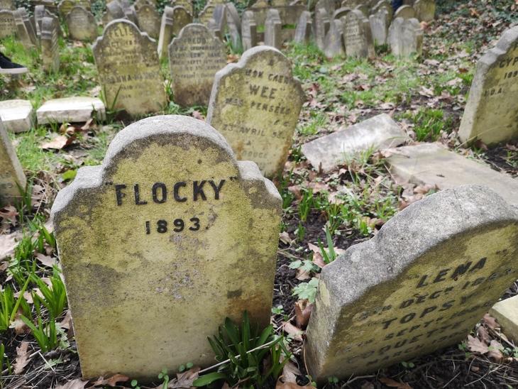 London’s Secret Victorian Pet Cemetery